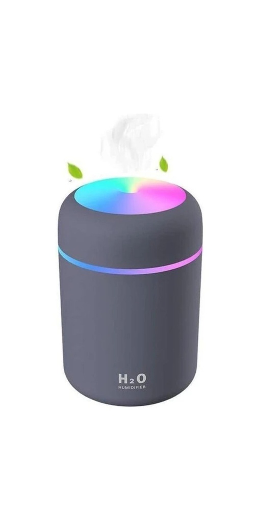 THE HUMIDIFIER